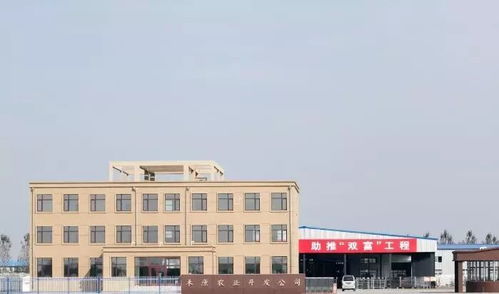 盛禾康业农产品经贸公司 速冻糯玉米 推动致富路