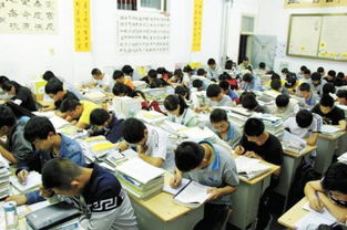 大理市2018 2019学年高一高二年级第一上学期期末考试答案及试题