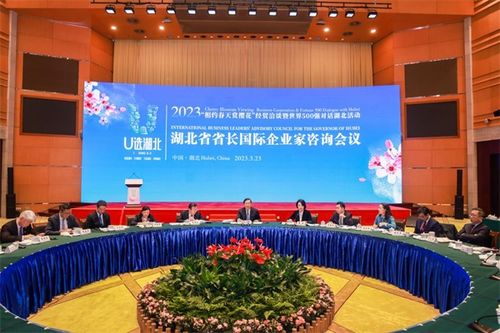 湖北全球觅 超级合伙人 国际企业家看好前景